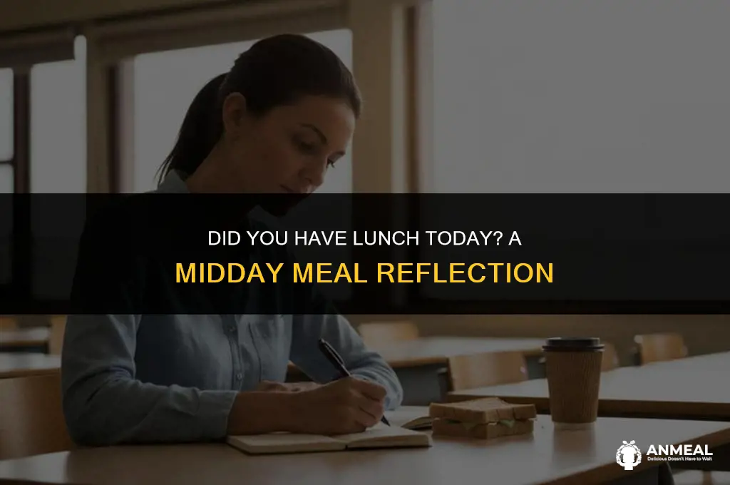 did u had lunch