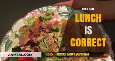 Did You Have Lunch Today? Exploring the Perfect Midday Meal