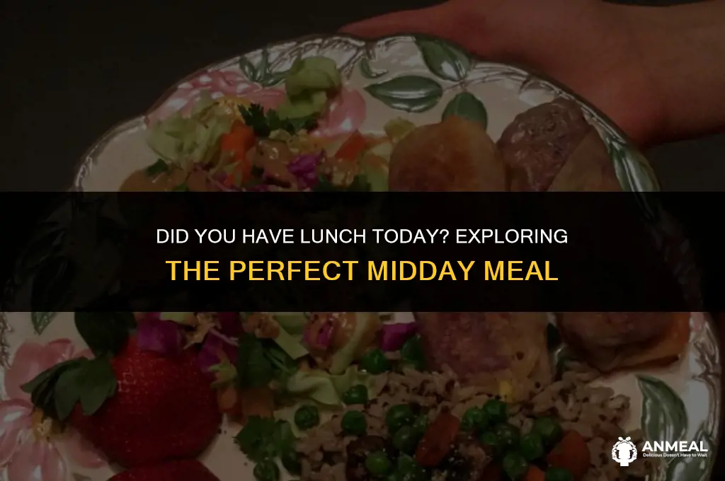 did u have lunch is correct