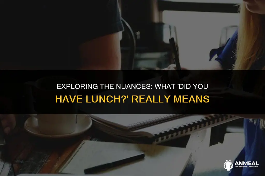 did u have lunch meaning