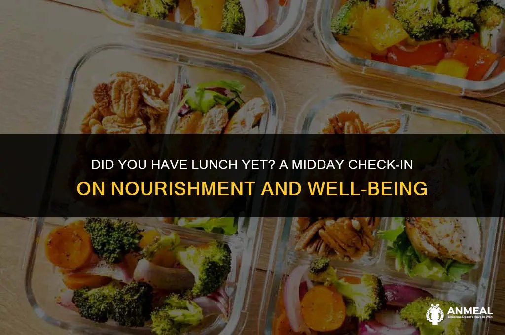 did u have lunch yet