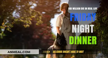Friday Night Dinner's Wilson: Real-Life Fate Explored