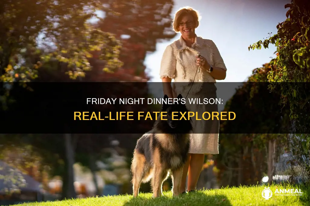did wilson die in real life friday night dinner