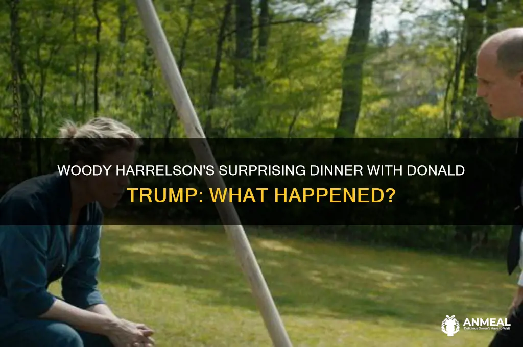 did woody harrelson have dinner with donald trump