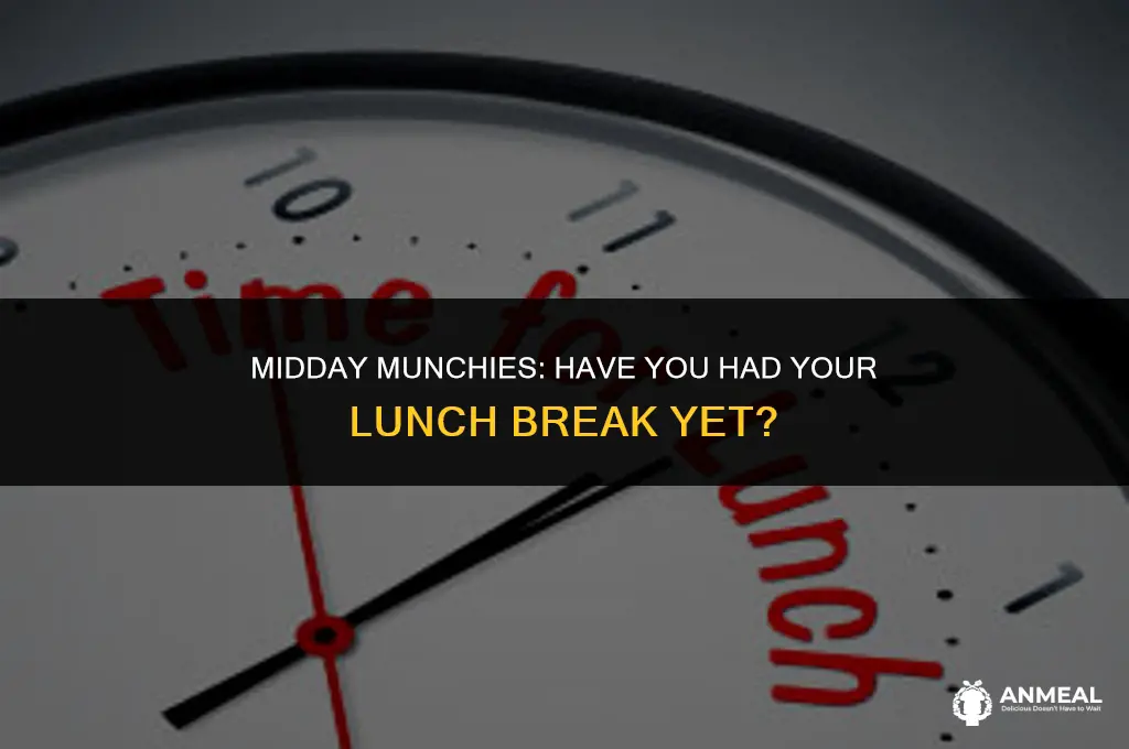 did you already had lunch