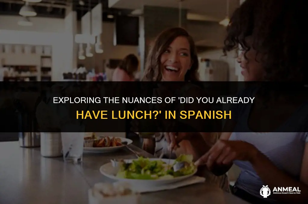 did you already have lunch traduccion