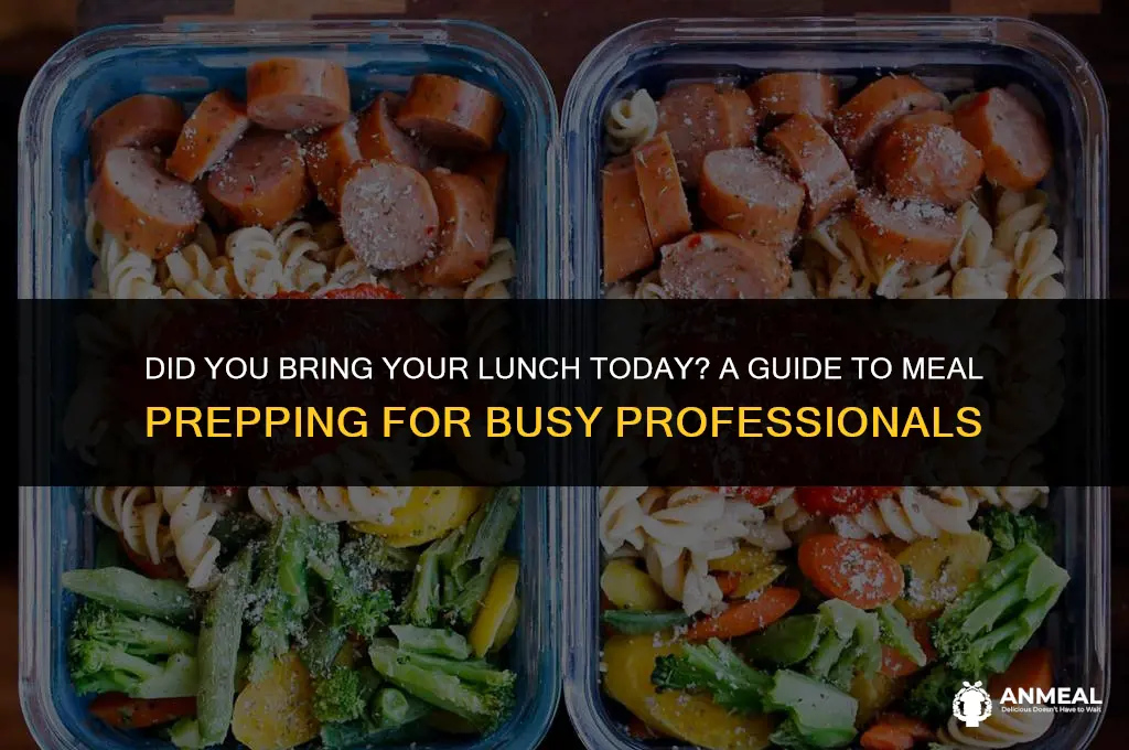 did you brin your lunch