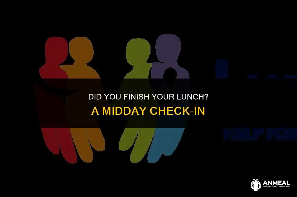 did you completed your lunch