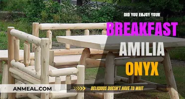Amilia Onyx: Breakfast, a Day's Energy Source
