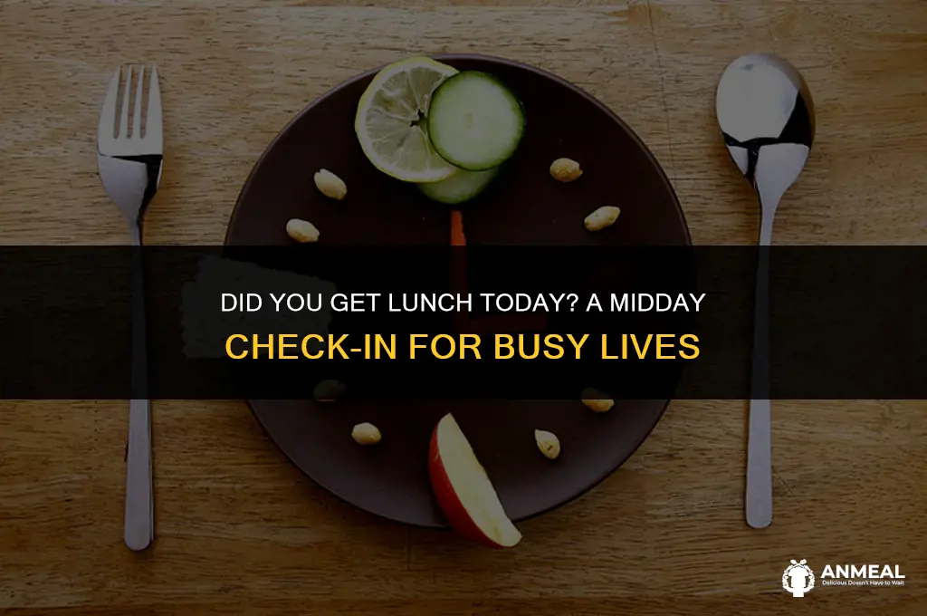 did you get lunch