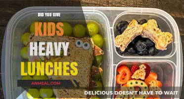 Did You Give Kids Heavy Lunches: A Nutritional Dilemma