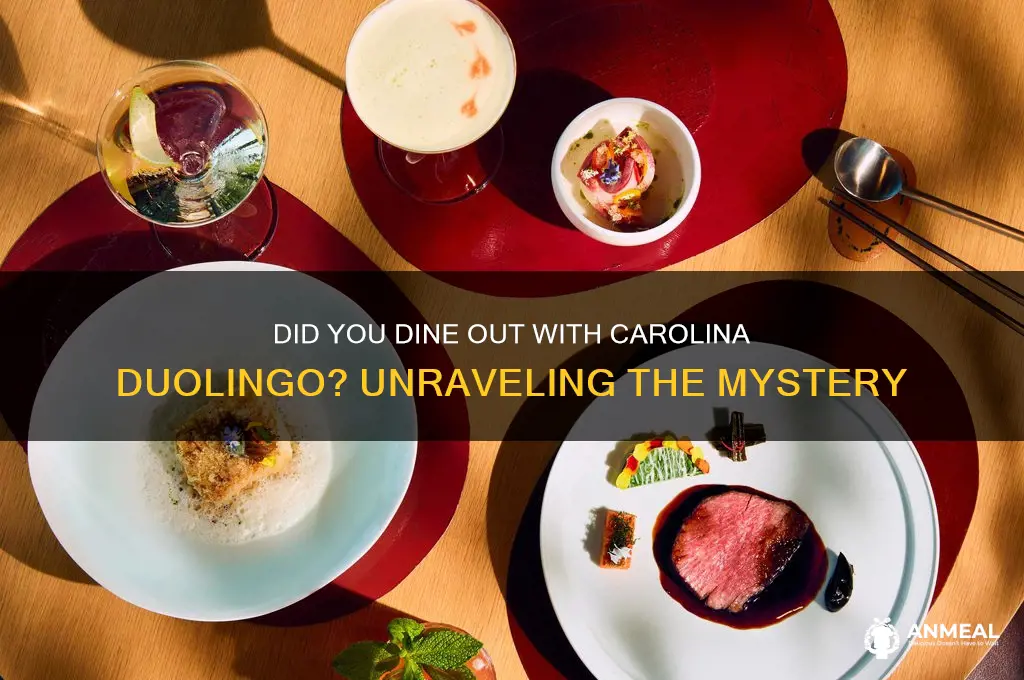 did you go out to dinner with carolina duolingo