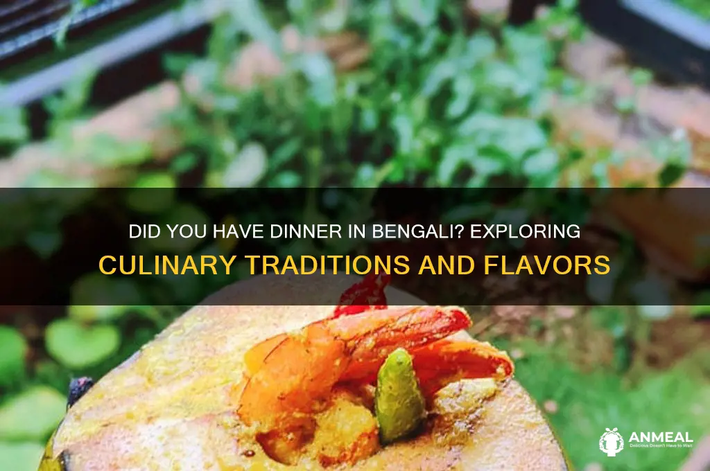 did you had dinner in bengali