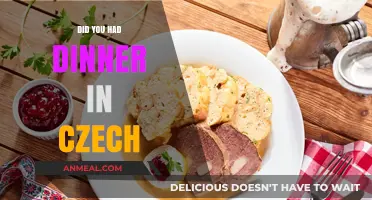 Exploring Czech Cuisine: Did You Enjoy a Traditional Dinner?