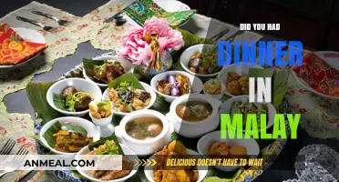 Did You Have Dinner in Malay? Exploring Malaysian Culinary Delights