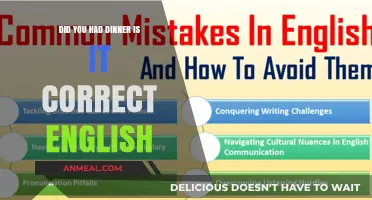 Did You Have Dinner? Correcting Common English Grammar Mistakes