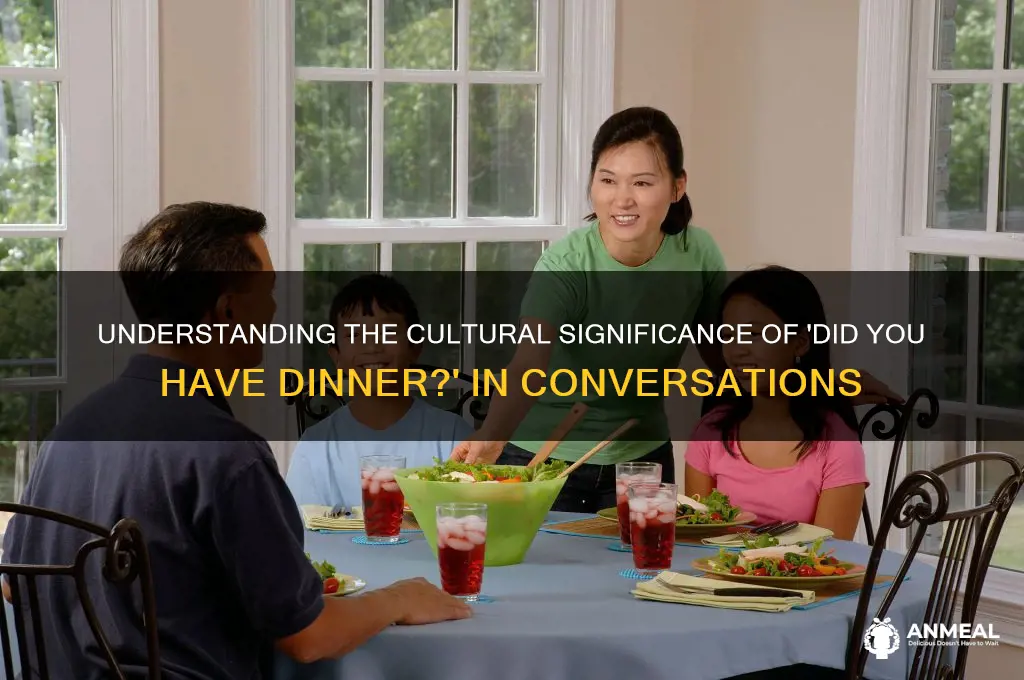 did you had dinner meaning