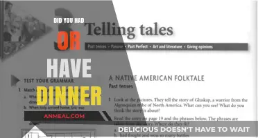 Dinner Dilemma: Had or Have? Mastering Correct Grammar in Everyday Conversations