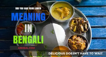 Exploring Bengali Cuisine: Did You Have Your Lunch Today?
