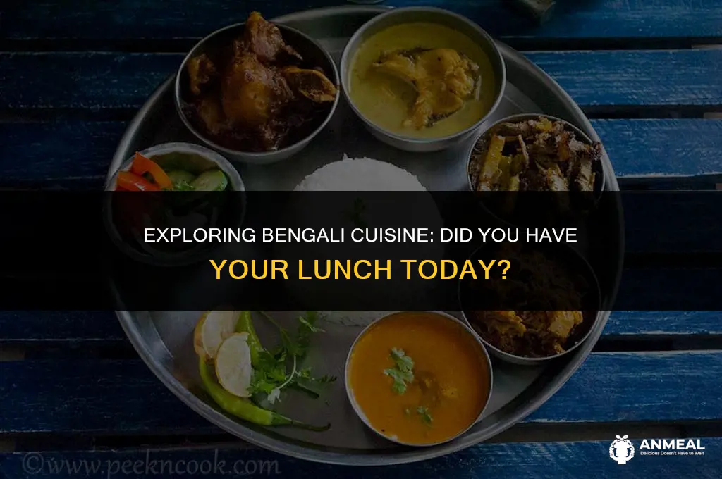 did you had your lunch meaning in bengali
