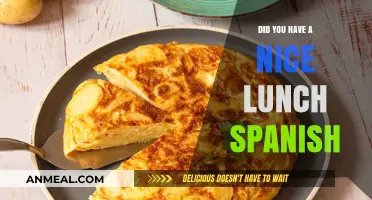 Delicious Spanish Lunch: A Taste of Tradition and Culture