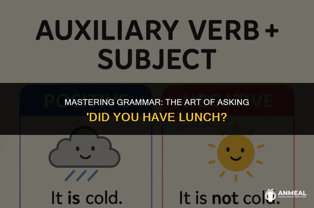 did you have lunch grammar