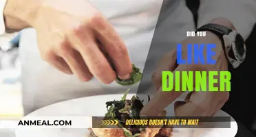Did You Like Dinner? Exploring the Art of Culinary Satisfaction