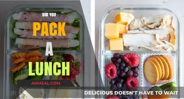 Did You Pack a Lunch: Tips for a Nutritious and Delicious Meal on the Go