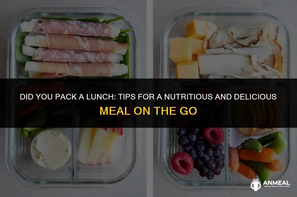 did you pack a lunch