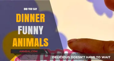Hilarious Dinner Moments with Funny Animals: Laughs and Chaos Ensue