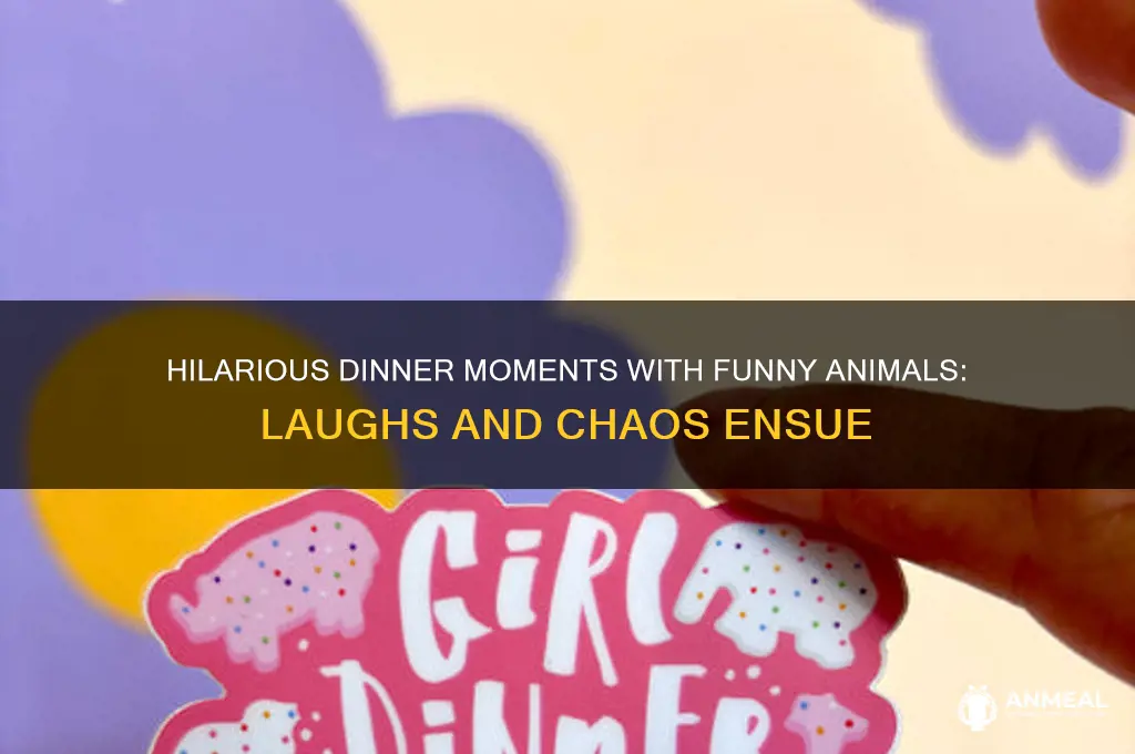 did you say dinner funny animals