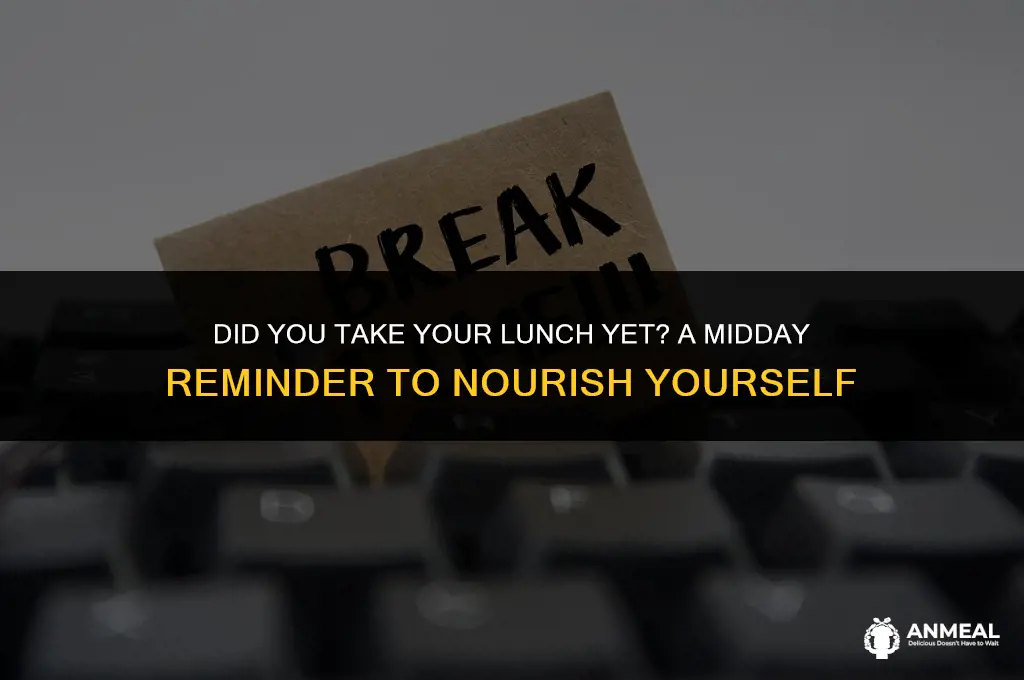 did you take your lunch yet