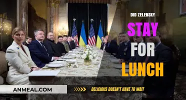 Zelensky's Luncheon Diplomacy: A Meal to Remember
