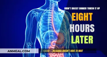 Late-Night Vomiting After Dinner: Understanding Delayed Digestion Issues