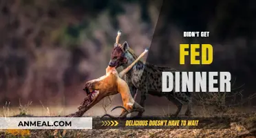 Hungry and Frustrated: The Night I Didn’t Get Fed Dinner