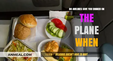 When Do Airlines Serve Dinner on Flights? A Complete Guide