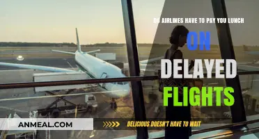Compensation for Delays: Are Airlines Obligated to Provide Meals?