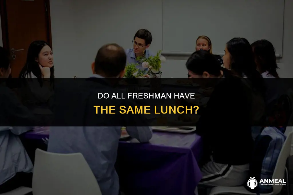 do all freshman have the same lunch