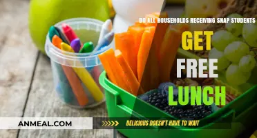 SNAP and School Lunches: Understanding Benefits for Student Households