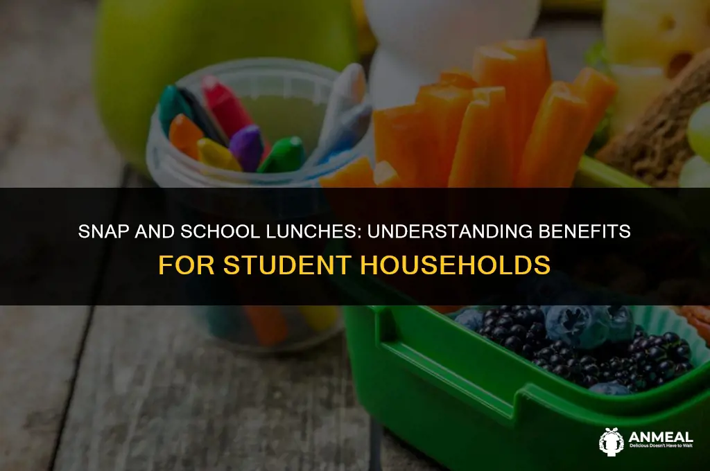 do all households receiving snap students get free lunch