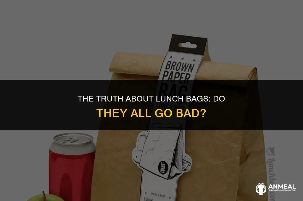 do all lunch bags go bad
