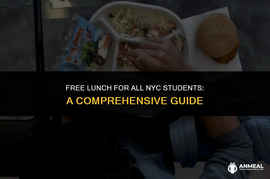 do all nyc students get free lunch