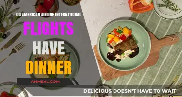 American Airlines International Flights: Dinner Options and Meal Services Explained