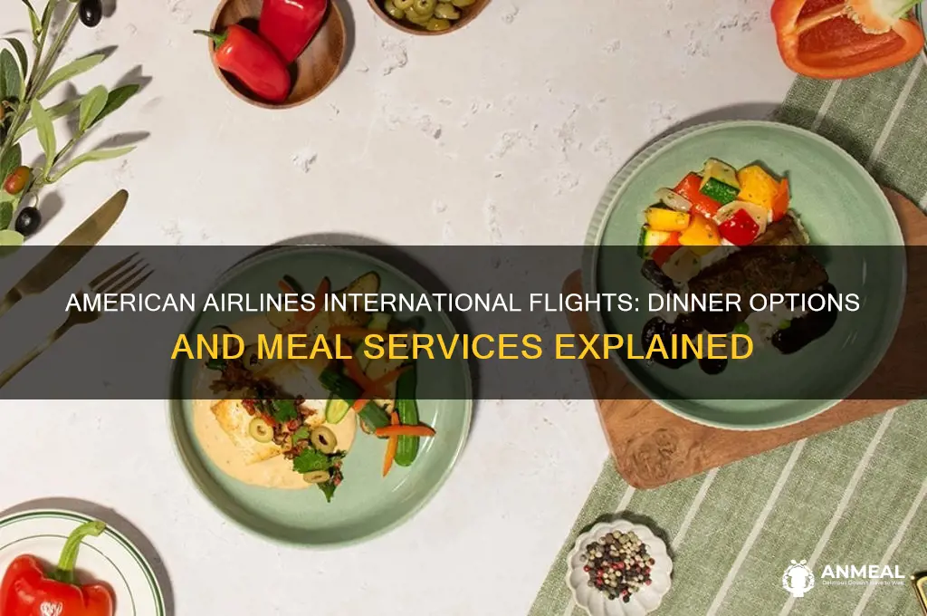 do american airline international flights have dinner