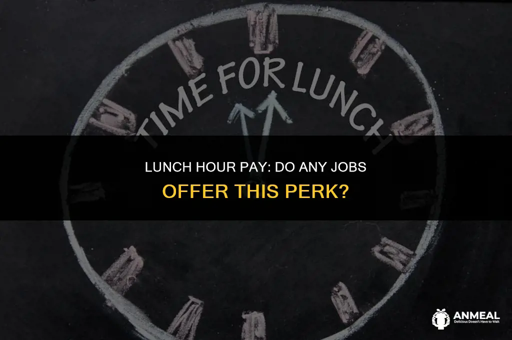 do any job pay lunch hour