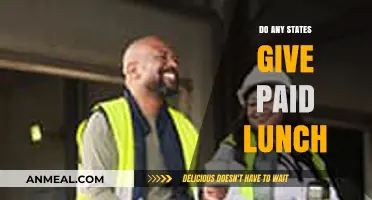 Exploring Paid Lunch Benefits Across U.S. States