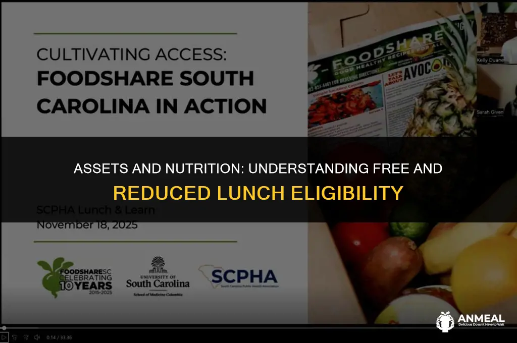 do assets affect free or reduced lunch