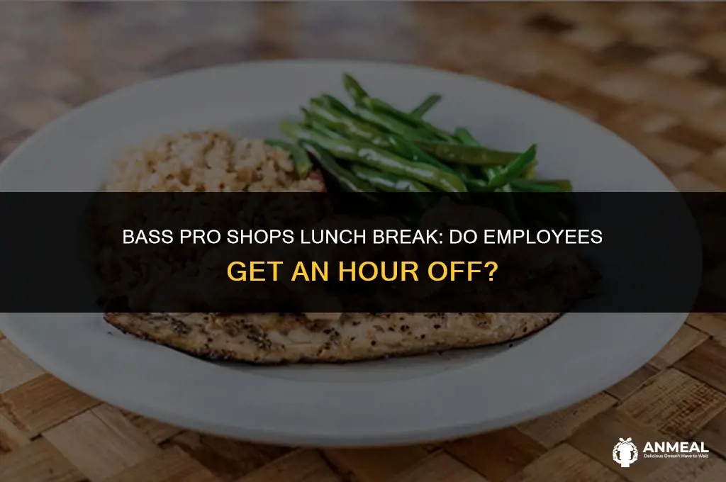 do bass pro employees get an hour lunch