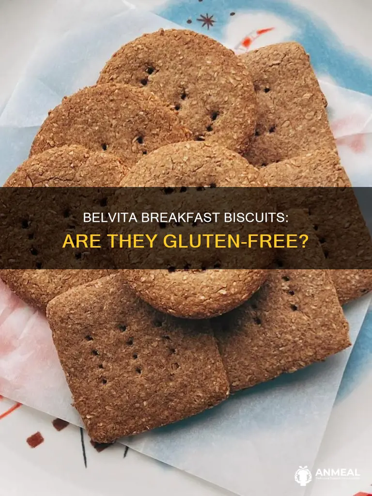 do belvita breakfast biscuits have gluten