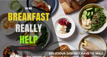 Big Breakfasts: Myth or Metabolism Booster for Daily Energy?